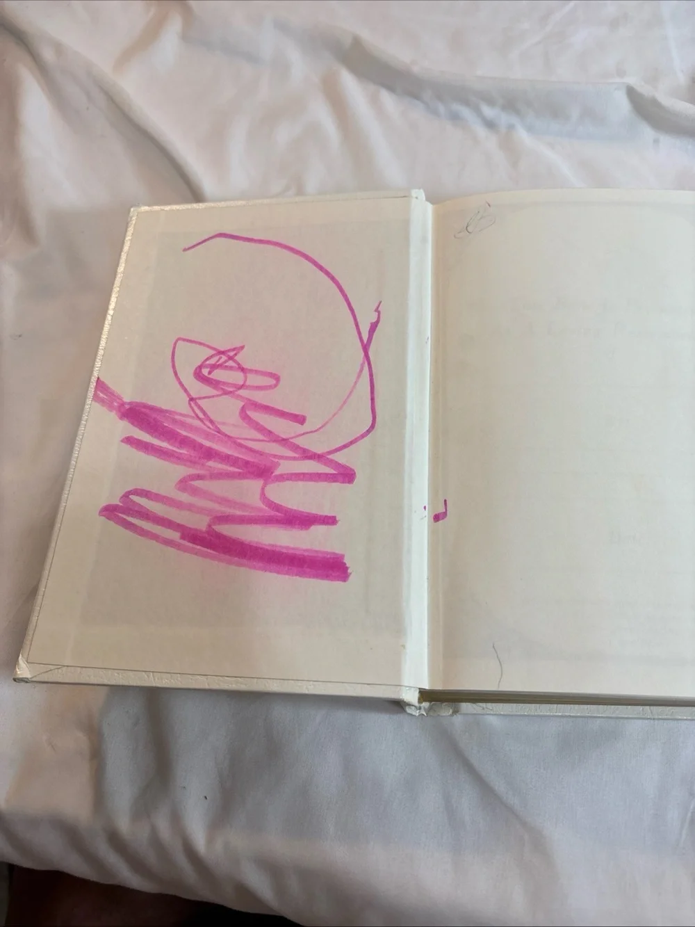 Holy Bible Dove of Peace - White Cover